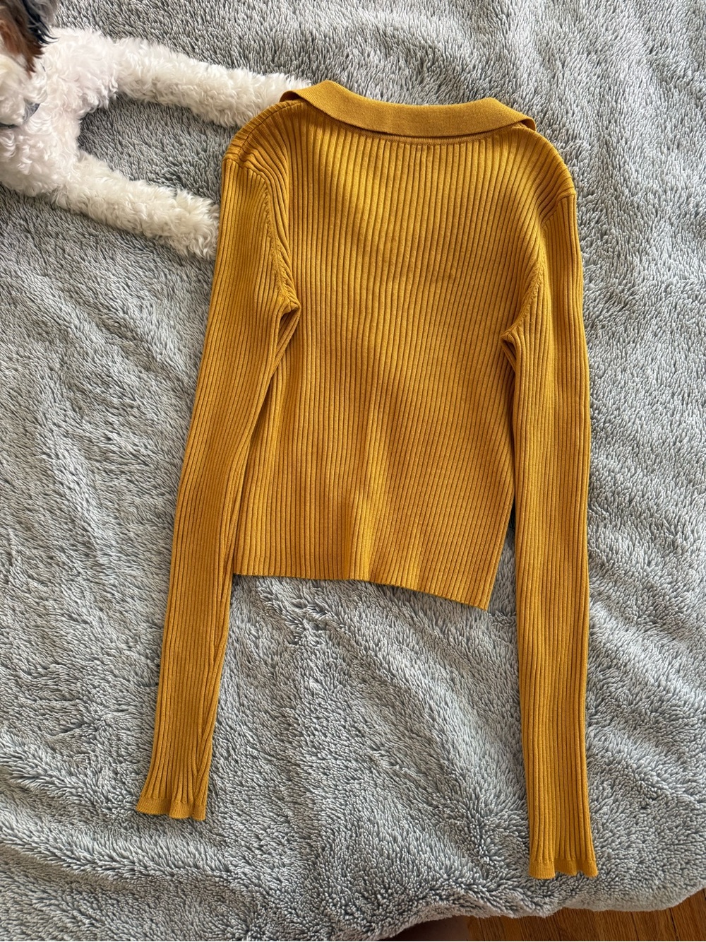 Calvin Klein Long-Sleeve Ribbed Polo Top - Mustard Yellow - Picture 2 of 3